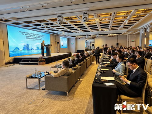 共話合作與發(fā)展 2025陸海新通道國(guó)際合作論壇暨中新金融峰會(huì)在新加坡啟動(dòng)